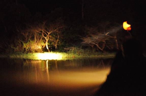 Procurando jacarés durante passeio noturno na Reserva do Mamirauá, região de Tefé, no Amazonas